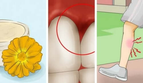 8 bienfaits surprenants du calendula que vous ne connaissez probablement pas