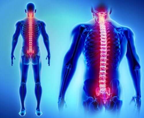 6 natural tricks to strengthen your spine