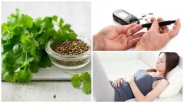 Graines de coriandre : 10 bienfaits médicinaux