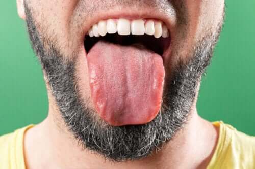 8 faits curieux sur la langue