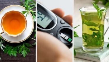 Infusion d'absinthe, de menthe et de stévia pour réguler la glycémie