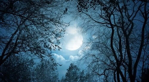 5 façons dont la Lune affecte la santé