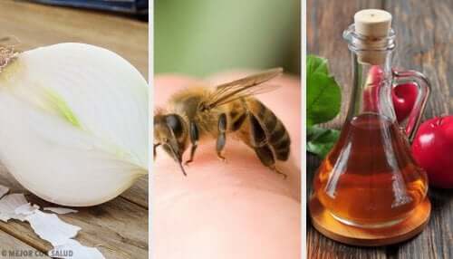 8 remèdes maison pour soigner les piqûres d'abeilles