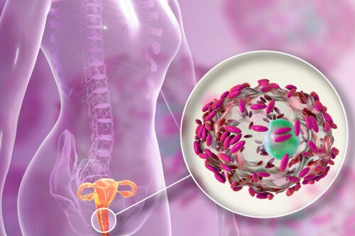 Les probiotiques aident à réduire la récurrence de la vaginose bactérienne : études