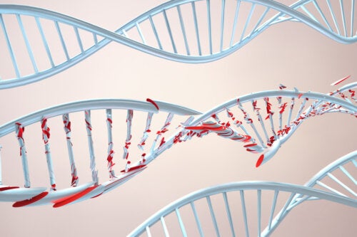 Syndrome de Phelan-McDermid : symptômes, traitements et attentes