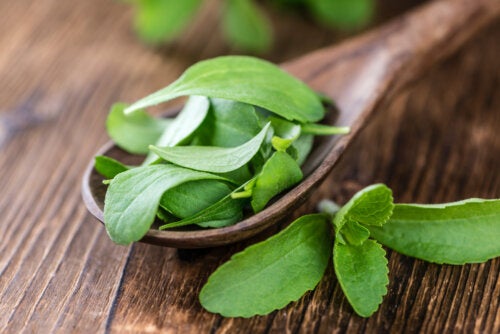 Stevia liquide maison : nutriments et comment la préparer