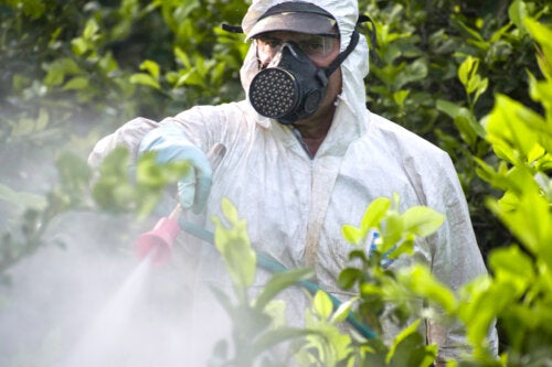 Intoxication aux organophosphorés : symptômes et prévention