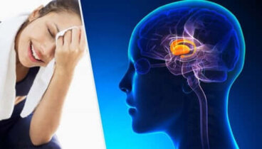 Qu'est-ce qu'une rétroaction négative ?