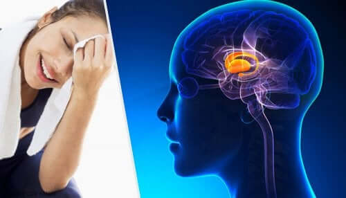 Qu'est-ce qu'une rétroaction négative ?