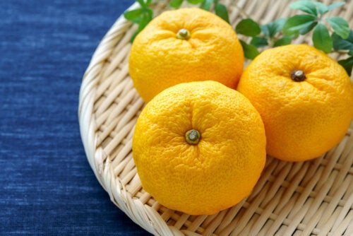 Bienfaits du yuzu : un agrume japonais qui vous apporte de la vitamine C
