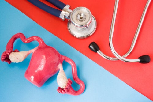 Dysfonction ovulatoire : qu'est-ce que c'est et comment y faire face ?