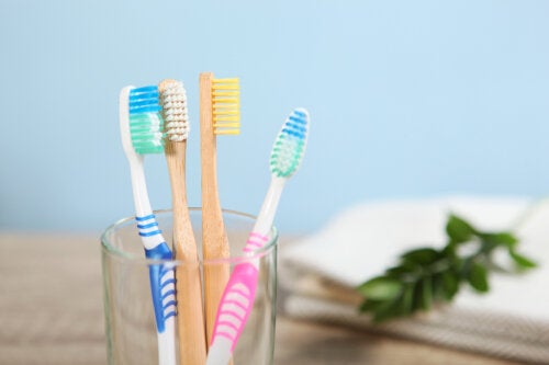 Brosses à dents en bambou vs. en plastique : avantages et inconvénients