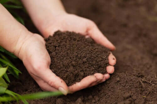 Comment faire du compost organique bocashi ?