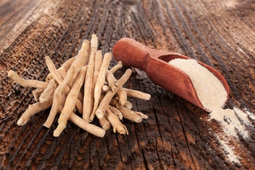 Avantages et contre-indications de l'ashwagandha