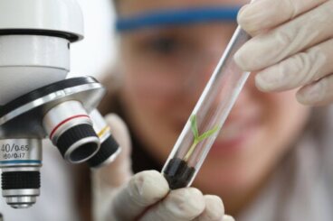 L'empirisme : qu'est-ce que c'est, caractéristiques et exemples