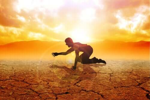 Que sont les déserts alimentaires et quel est leur impact sur la santé ?