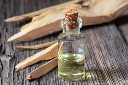 Huile de bois de santal : bienfaits, utilisations et effets secondaires
