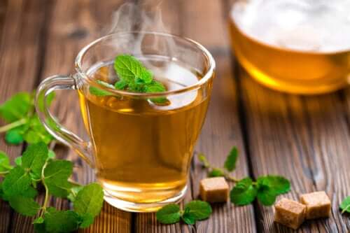 Thé à la menthe poivrée : indications, contre-indications et préparation