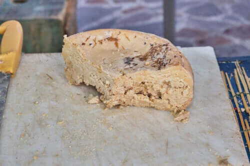 Casu marzu : pourquoi est-il considéré comme dangereux ?