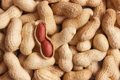 Consommer des cacahuètes avec la peau : tout ce qu'il faut savoir