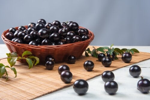 Jabuticaba : bienfaits et comment le consommer