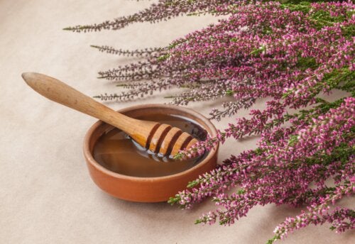 Miel de bruyère : bienfaits, consommation et contre-indications