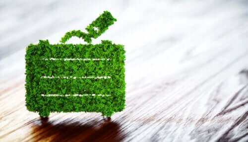 7 actions pour prendre soin de l'environnement pendant vos vacances