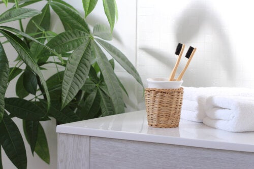 8 idées pour avoir une salle de bain durable