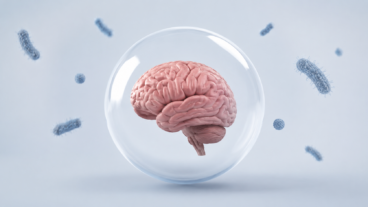 Y a-t-il des bactéries dans notre cerveau ?