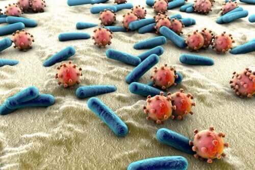 Qu'est-ce qu'une bactériémie ?
