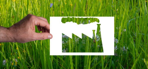 Greenwashing : qu'est-ce que c'est et comment l'identifier ?