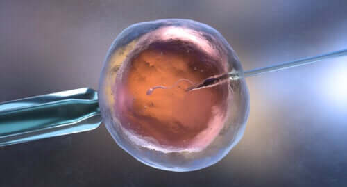 Avortement après fécondation in vitro : pourquoi cela arrive-t-il ?