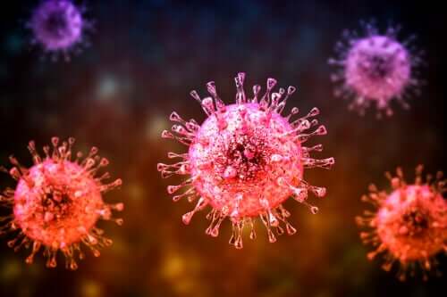 Tout ce que vous devez savoir sur l'infection à cytomégalovirus