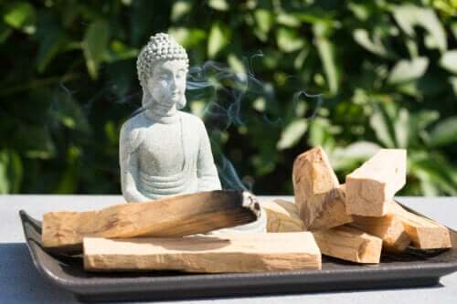 Palo santo : bienfaits et usages du « bois spirituel »