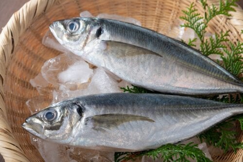 Le chinchard, un poisson aux valeurs nutritives importantes