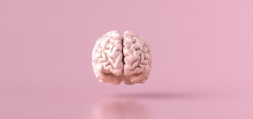 Y a-t-il des bactéries dans notre cerveau ?