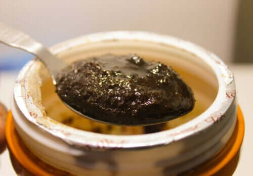 Chyawanprash : valeur nutritionnelle et utilisations de cette confiture indienne