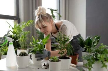 Chélate de fer : comment peut-il être bénéfique pour les plantes ?