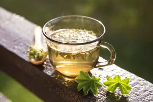 Alchémille : aide-t-elle à calmer les symptômes des règles ?