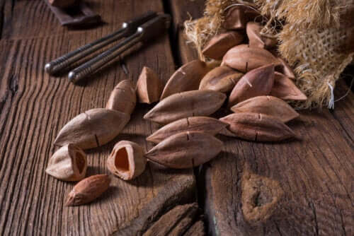 Noix de pili : propriétés nutritionnelles et bienfaits