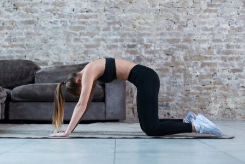 Quels types d'exercices physiques existe-t-il ?