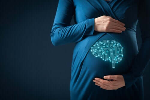 La grossesse provoque des changements dans le cerveau pour favoriser le lien avec l’enfant, selon des études