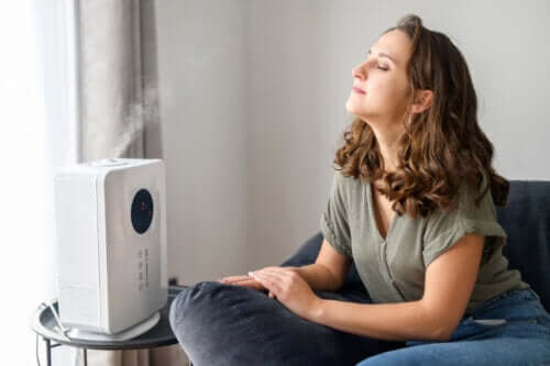 Vaporisateur et humidificateur : quelles sont les différences ?