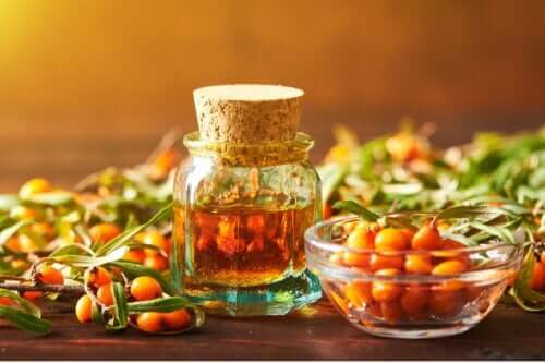 L'argousier : une plante aux bienfaits pour la peau et la santé