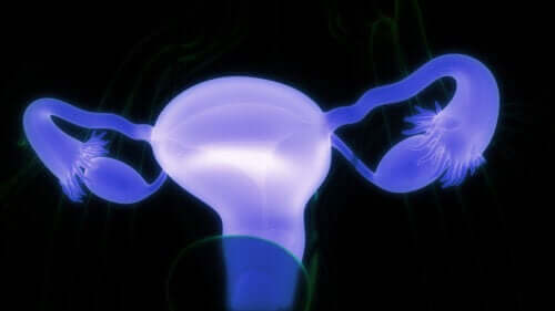 Kystes dermoïdes ovariens : quels sont les symptômes et quand consulter ?