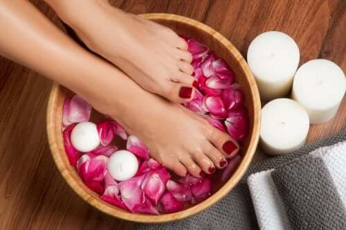 Les meilleures herbes pour faire des bains de pieds