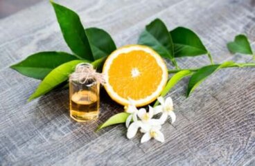 Huile essentielle de néroli : utilisations, bienfaits et contre-indications