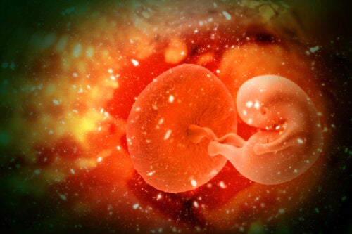 Qu'est-ce que l'adoption d'embryons et quels sont ses avantages ?