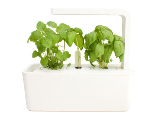 Pot intelligent : découvrez son fonctionnement et les avantages pour vos plantes