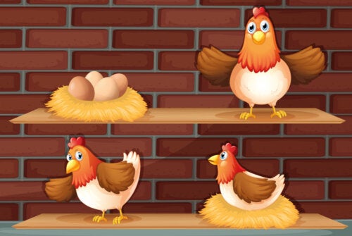 La poule ou l'œuf ? Qui est arrivé en premier ?